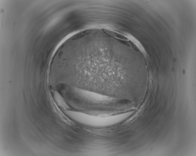 X0000085301052200703231853