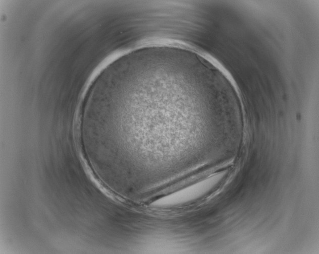 X0000085301053200703231853