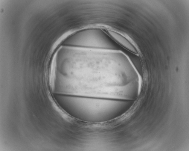 X0000085301054200703231853