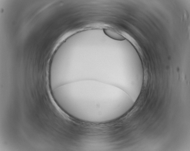 X0000085301055200703231853