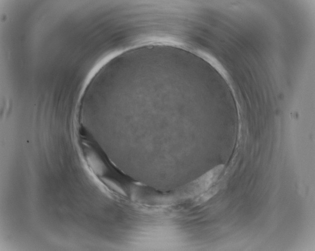 X0000085301056200703231853