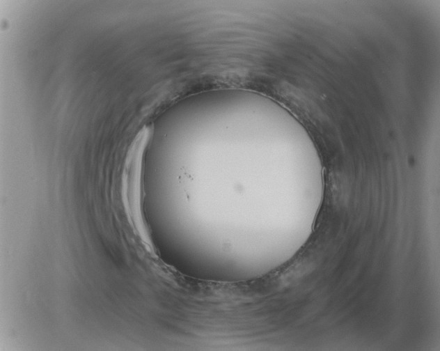 X0000085301057200703231852