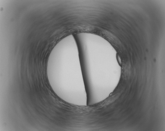 X0000085301058200703231852