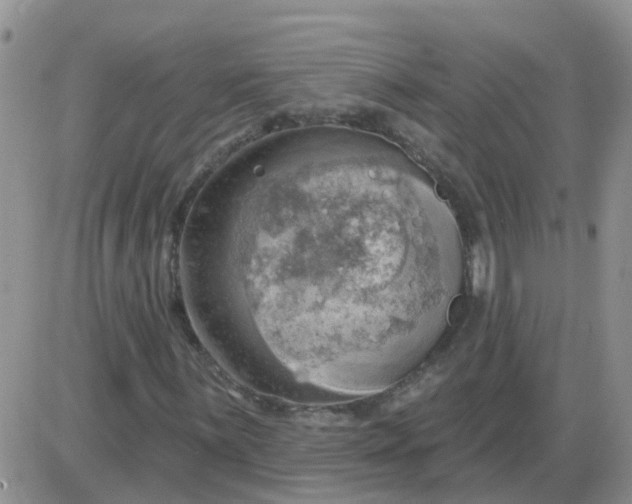 X0000085301059200703231852