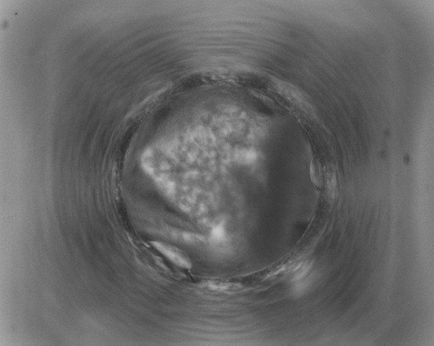 X0000085301060200703231852