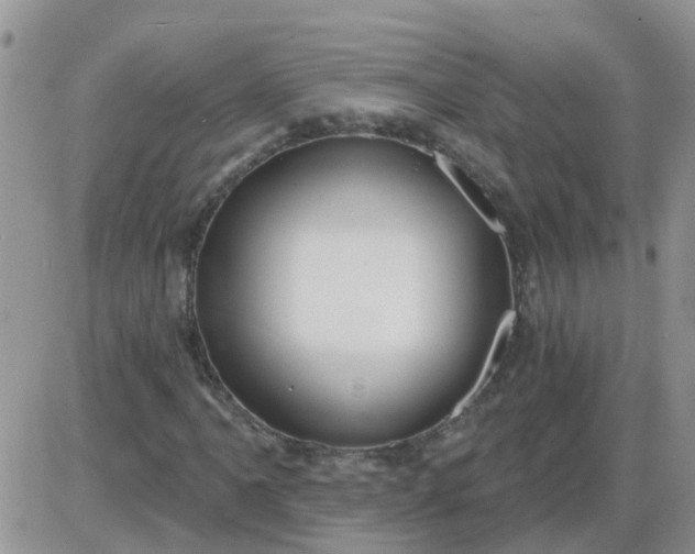 X0000085301061200703231852