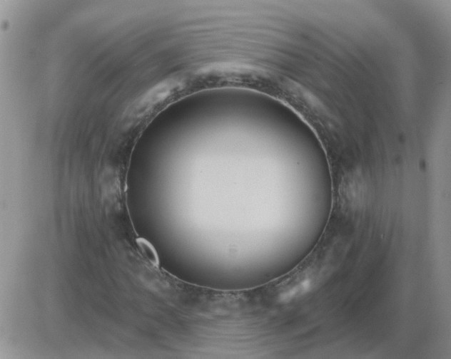 X0000085301062200703231852