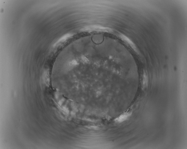 X0000085301063200703231852