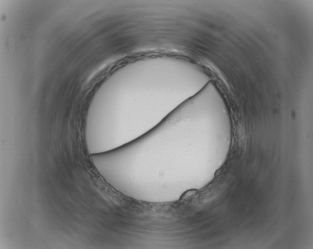 X0000085301064200703231852