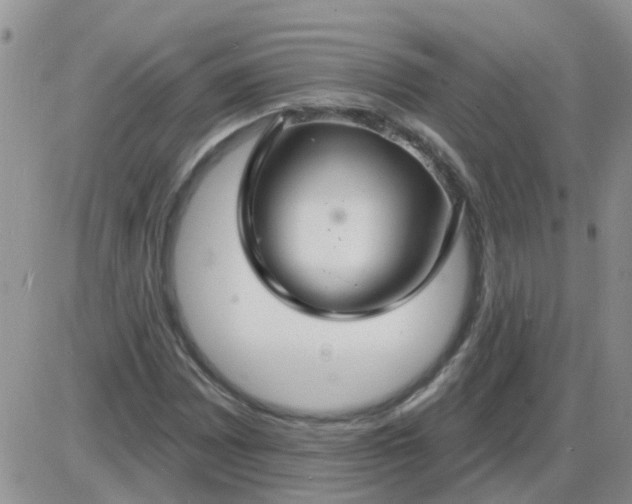 X0000085301065200703231852