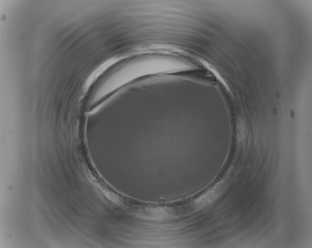 X0000085301066200703231852