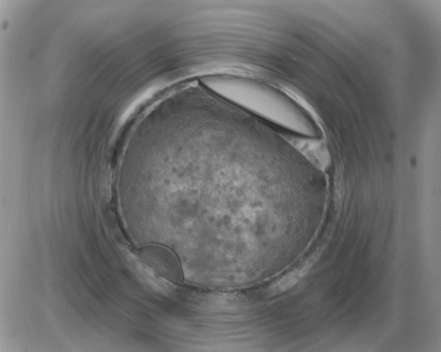 X0000085301067200703231852