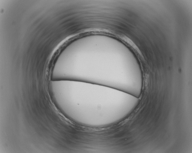 X0000085301068200703231852