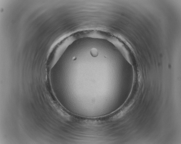 X0000085301069200703231852