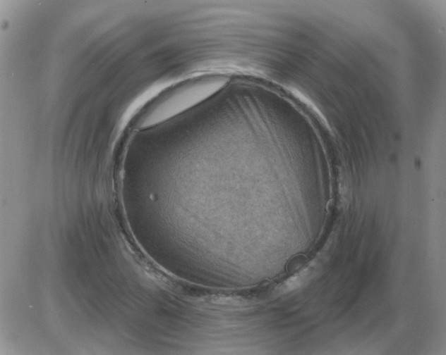 X0000085301070200703231852