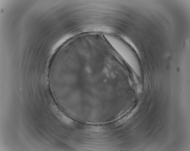 X0000085301071200703231852