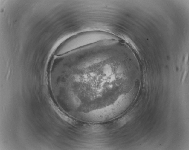 X0000085301072200703231852