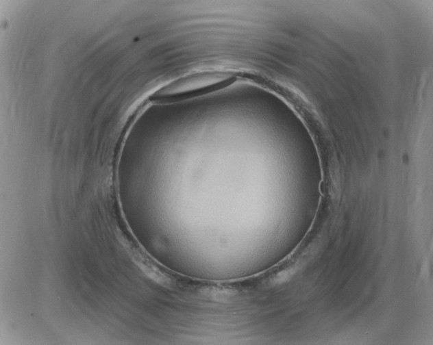 X0000085301073200703231852