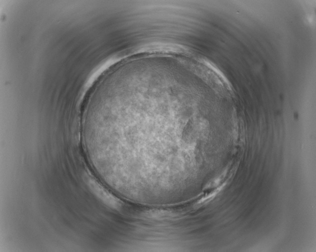 X0000085301075200703231852