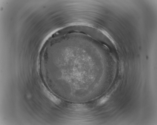 X0000085301076200703231852