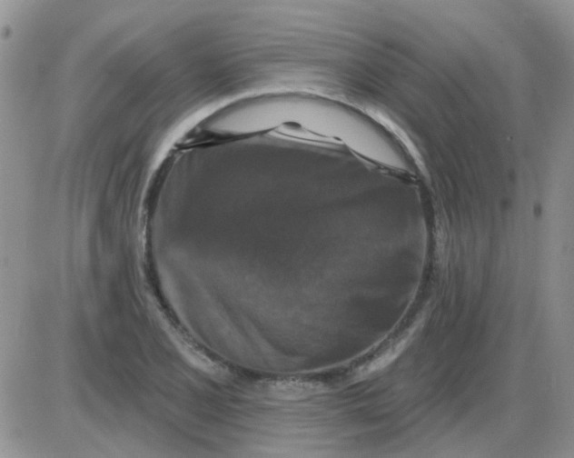 X0000085301077200703231852