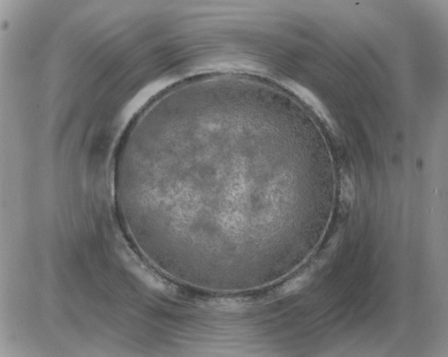 X0000085301078200703231852