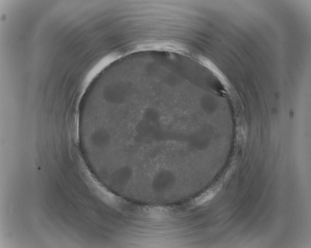 X0000085301079200703231852