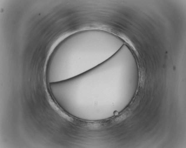 X0000085301080200703231852