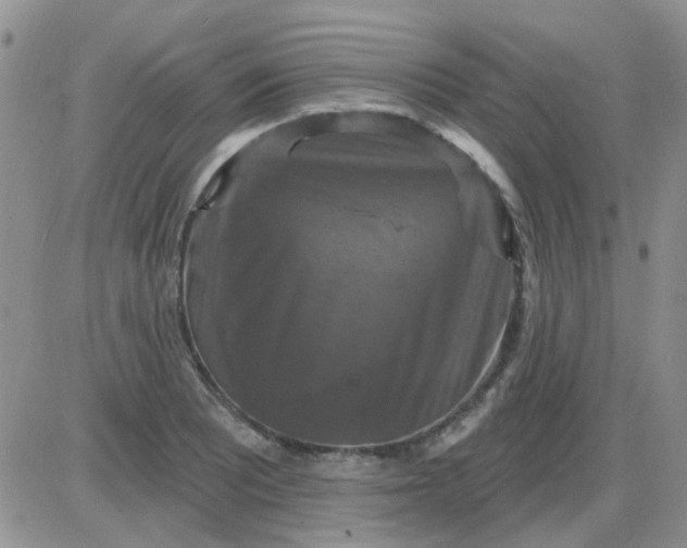 X0000085301081200703231852