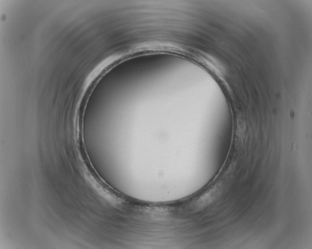 X0000085301082200703231852