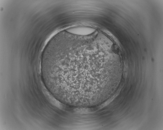 X0000085301083200703231852