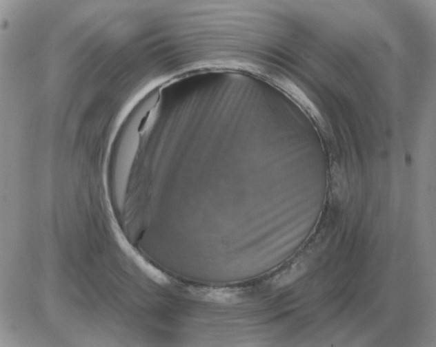 X0000085301084200703231852