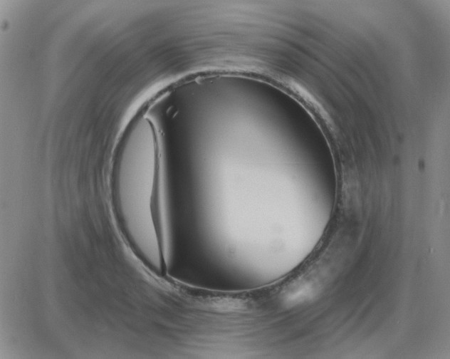 X0000085301085200703231852