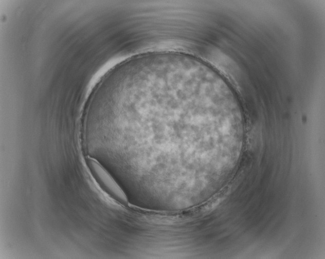 X0000085301086200703231852