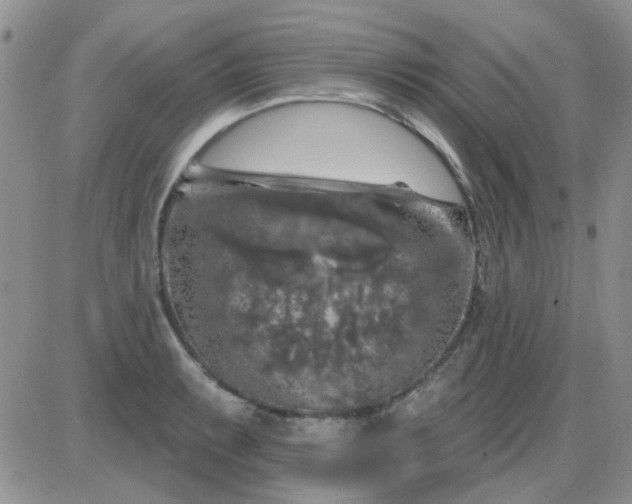 X0000085301087200703231852