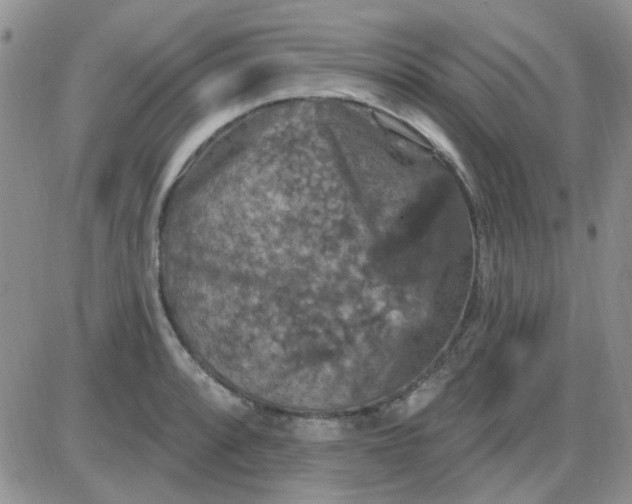 X0000085301088200703231852