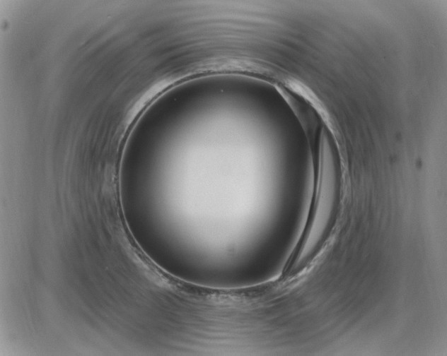 X0000085301089200703231852