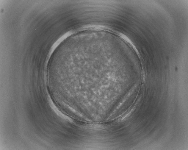 X0000085301090200703231852