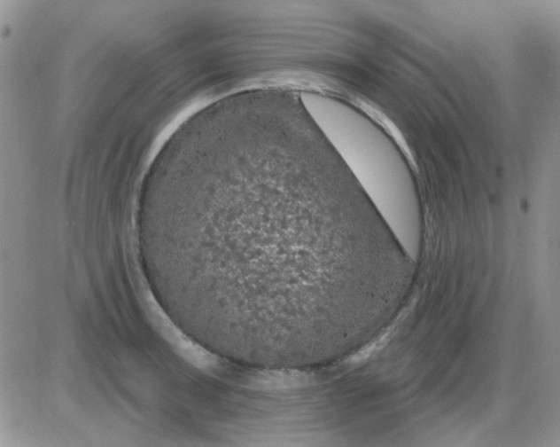 X0000085301091200703231852