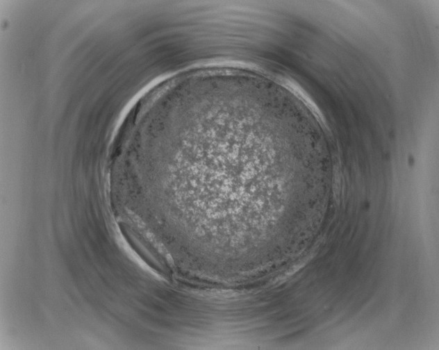 X0000085301092200703231852