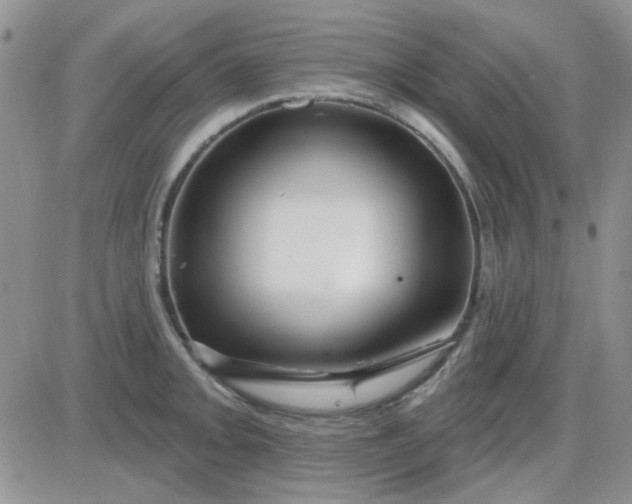 X0000085301093200703231852