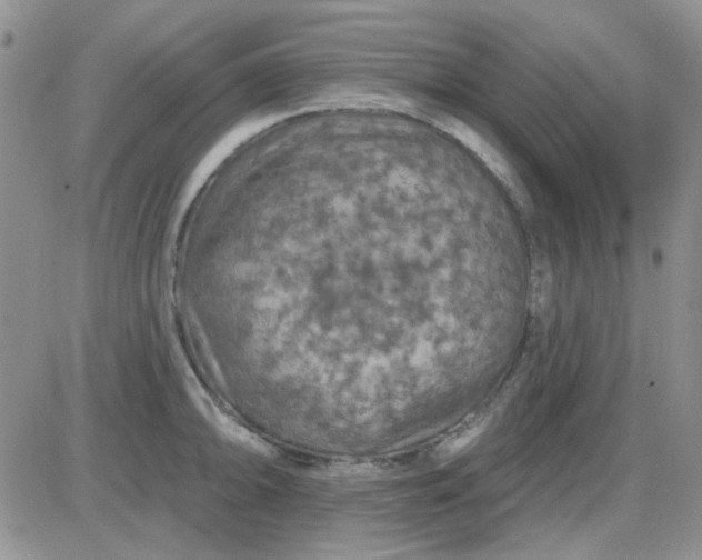 X0000085301094200703231852