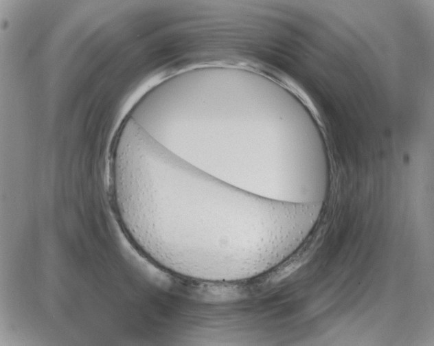 X0000085301095200703231852