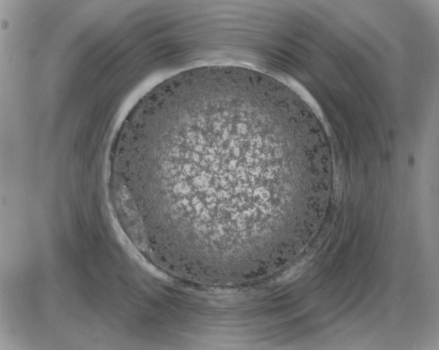 X0000085301096200703231852