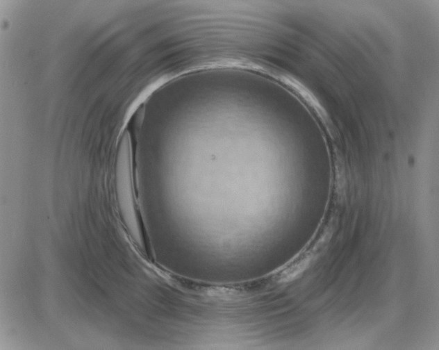 X0000085301097200703231852