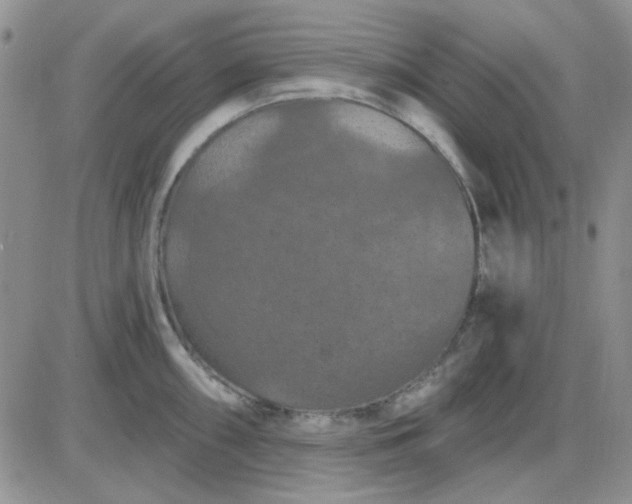 X0000085301098200703231852