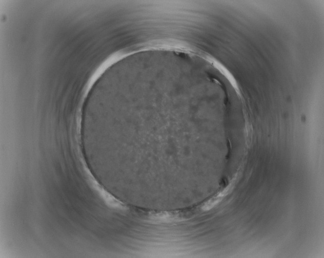 X0000085301099200703231852