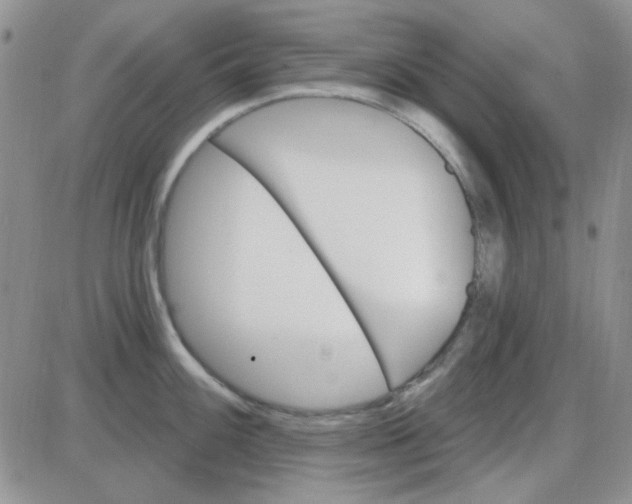 X0000085301100200703231852