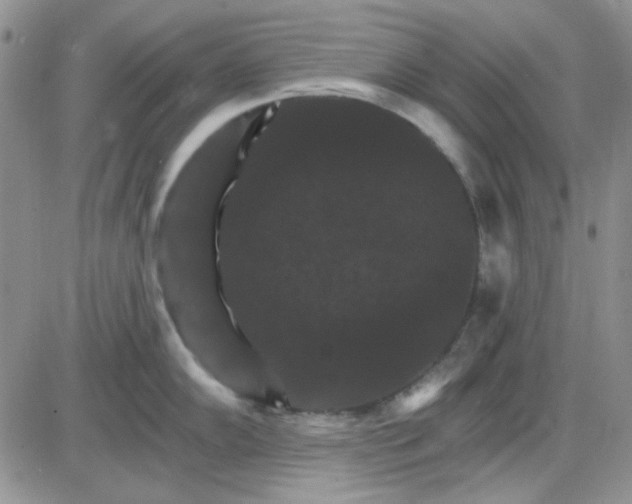 X0000085301102200703231852