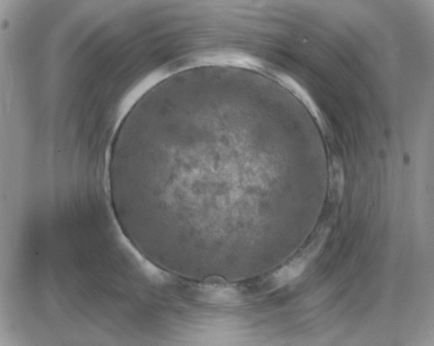 X0000085301103200703231852